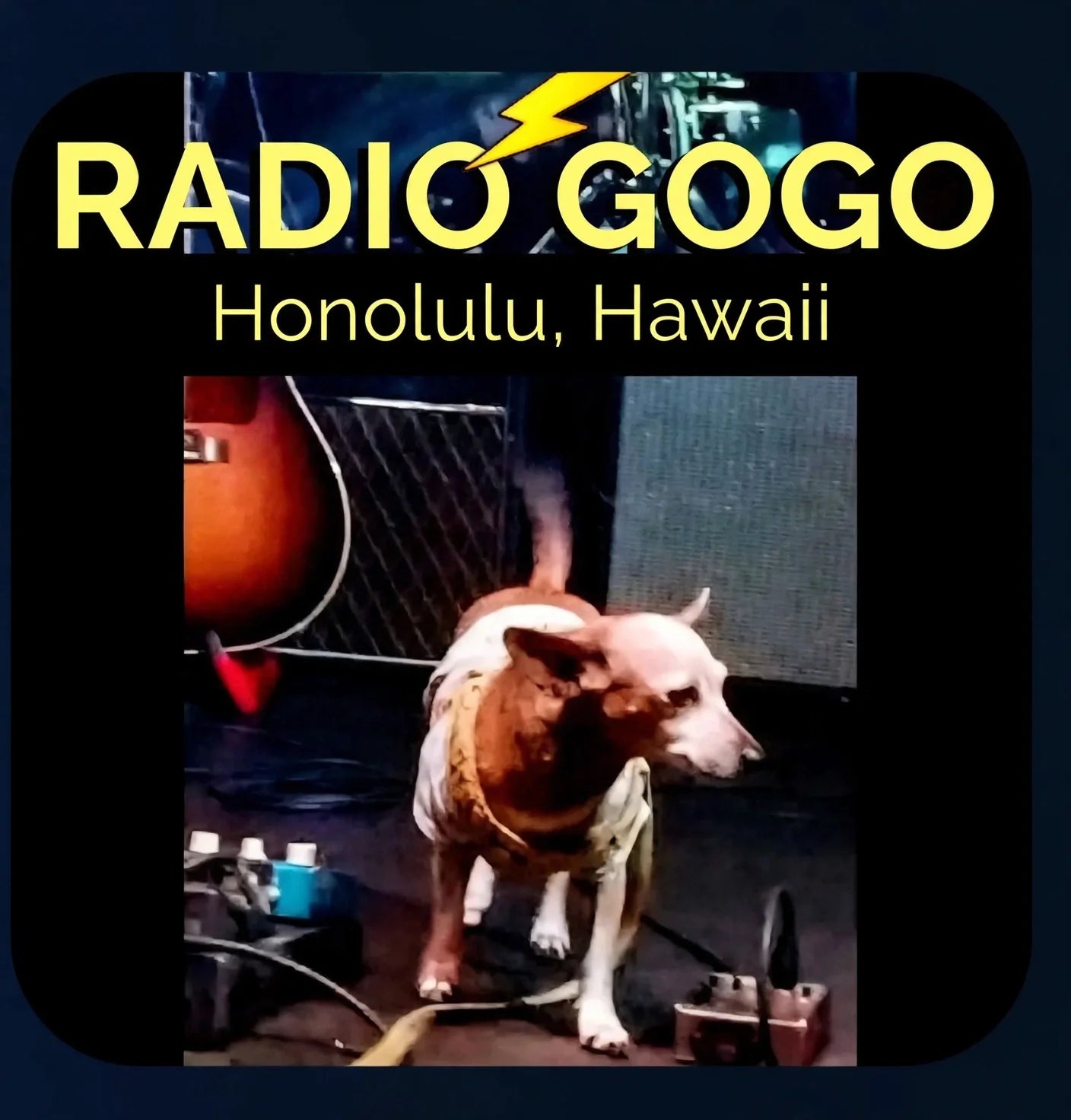 Original RADIO GOGO